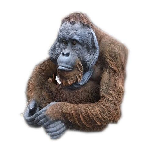 アニマルオブジェ 特大 オラウータン ガーデンオブジェ 大きいサイズ 猿 ヒヒ サル ゴリラ リアル おしゃれ 動物 置物 玄関 オーナメント ガーデニング Objet10 ハファダイモール 通販 Yahoo ショッピング
