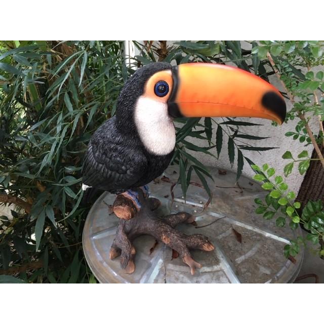 アニマルオブジェ オオハシ ガーデンオブジェ 大きいサイズ 南国 鳥 オウム インコ リアル おしゃれ 動物 置物 玄関 オーナメント ガーデニング Objet11 ハファダイモール 通販 Yahoo ショッピング