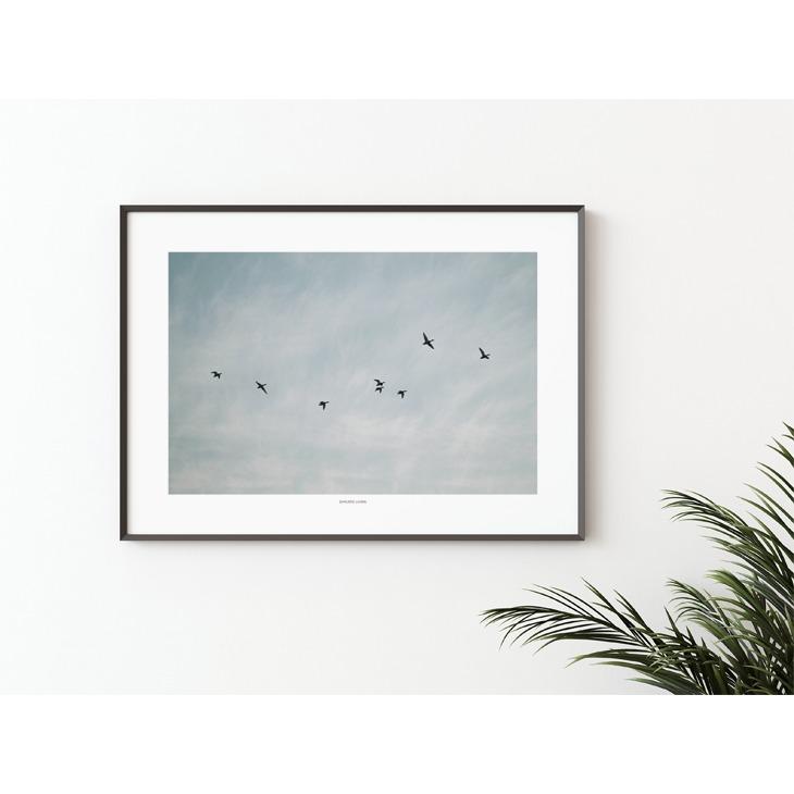 SIMPLISTIC LAYERS | FLYING DUCKS (APS33) | アートプリント/アートポスター (50x70cm) 北欧 フォトグラフィー_1
