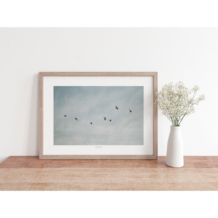 SIMPLISTIC LAYERS | FLYING DUCKS (APS33) | アートプリント/アートポスター (50x70cm) 北欧 フォトグラフィー_2