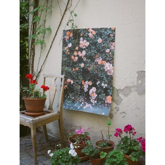 ペローナ pop Gothic cb 幼少 フィギュア 輸送箱 カード付き 2025年