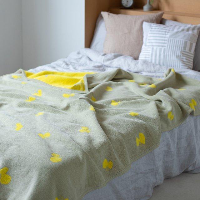 KLIPPAN シュニールコットン　シングルブランケット オリーブイエロー シュニールコットンシングルブランケット CHOUCHO