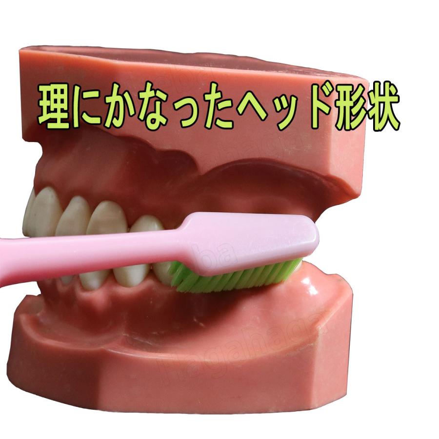 テペ Good 各色本入り 6本セット ソフト歯ブラシ 歯科予防先進国