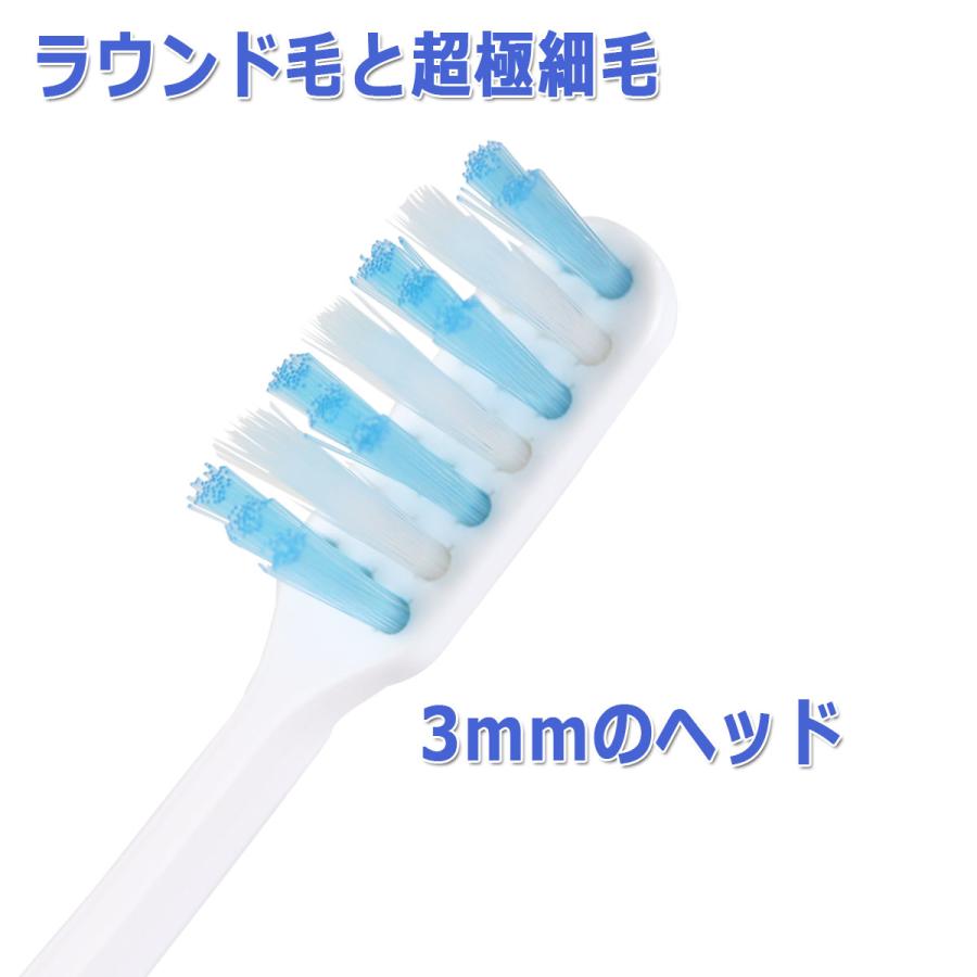 システマ ライオン チェックアップ歯ブラシ3本 とチェックアップ
