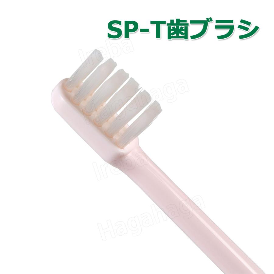 システマ ライオン システマエスピーティー Systema SP-T 歯ブラシ