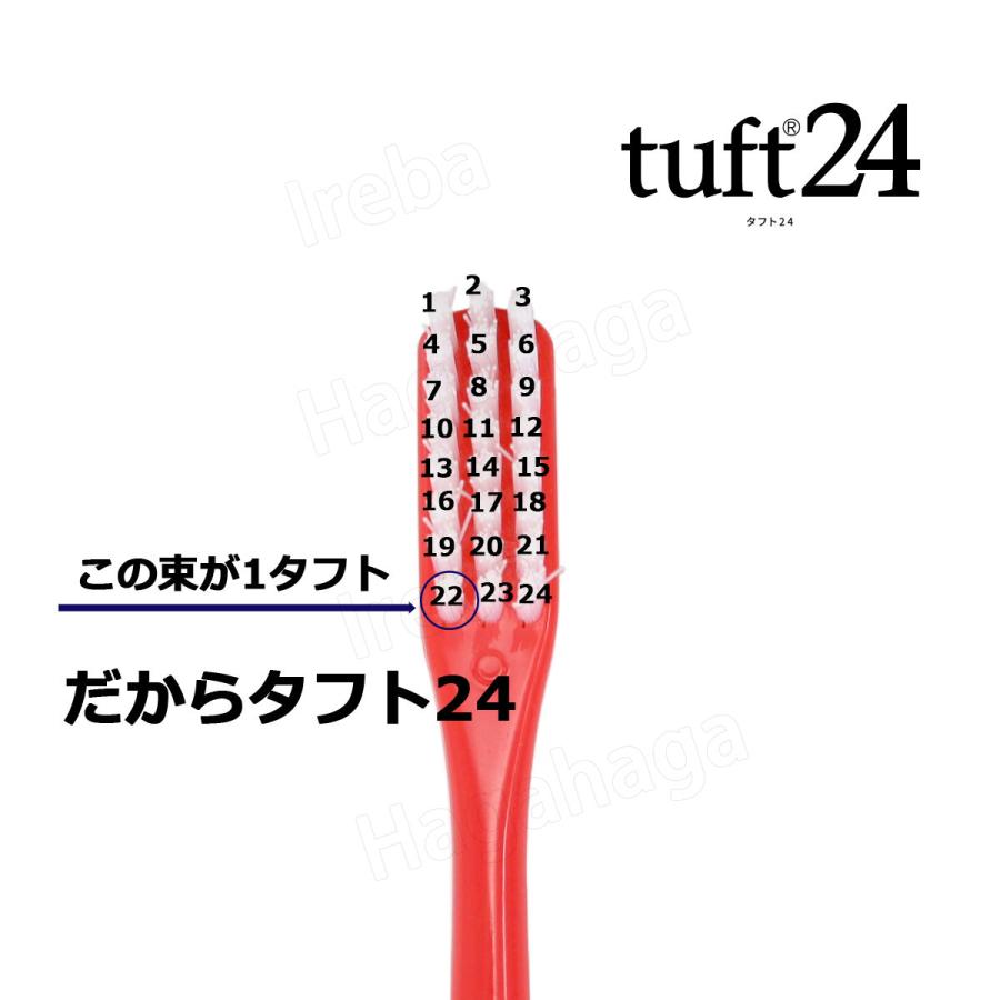 Oral Care（オーラルケア） タフト24 歯ブラシ 24本 : はがはがで