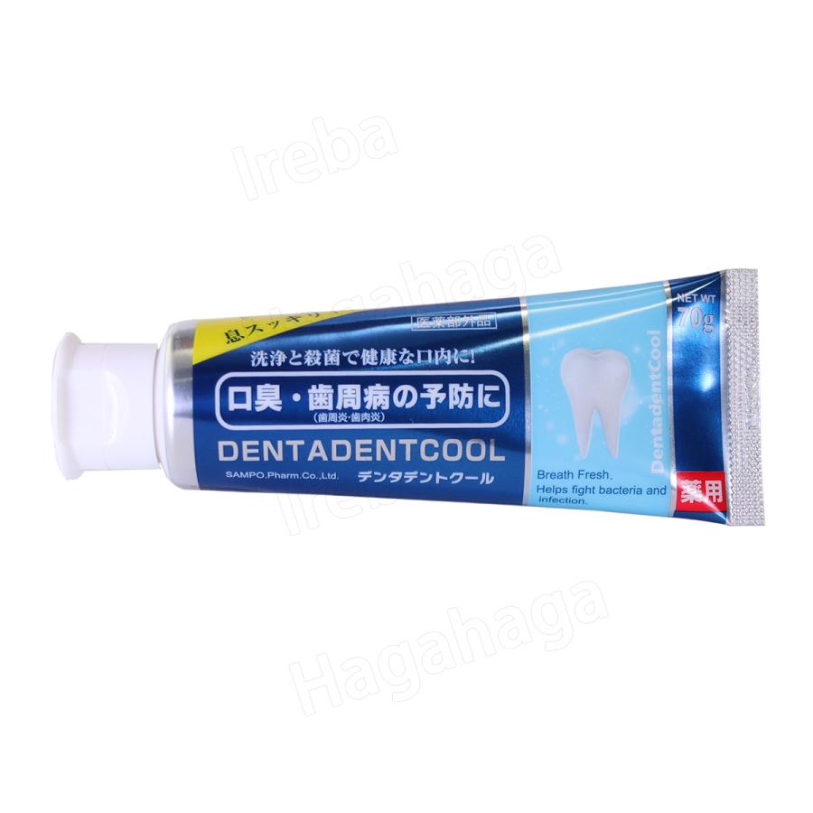 三宝製薬 デンタデントクール 70g 息スッキリ 製薬会社の歯磨きジェル