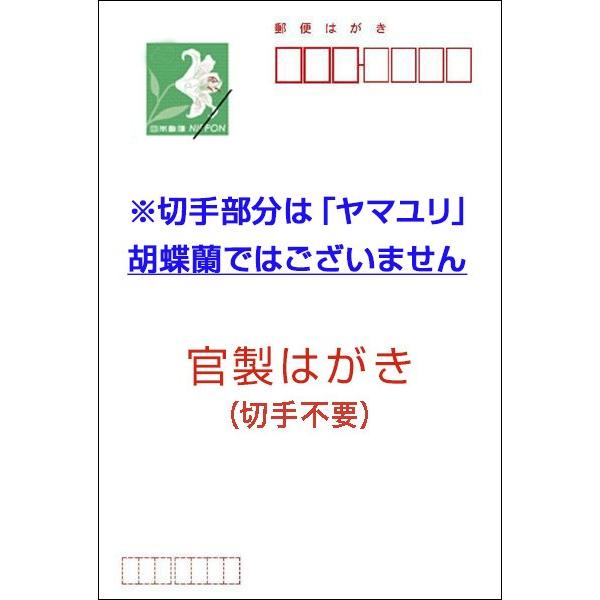 差出人印刷込み 官製はがき ３０枚 　寒中見舞い はがき 寒中見舞いはがき 葉書 ハガキ　KS-42｜hagaki｜03