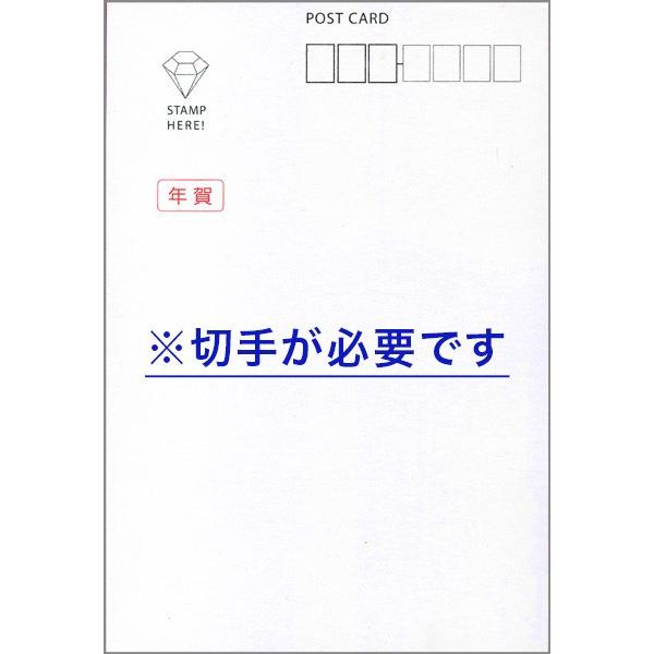 差出人印刷込み 私製年賀はがき 30枚 22 年賀状 印刷 寅年 とら Nsa 17 Nsa 17 P30 ハガキストア 通販 Yahoo ショッピング