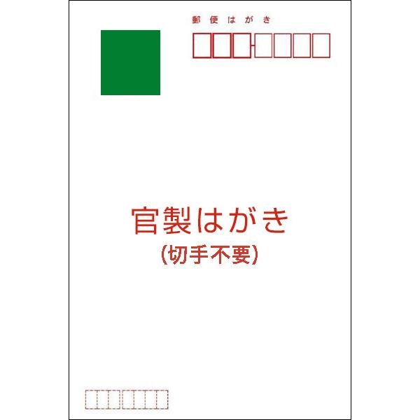 官製はがき 10枚 暑中見舞い ハガキ 夏 挨拶状 葉書 暑中 はがき SS