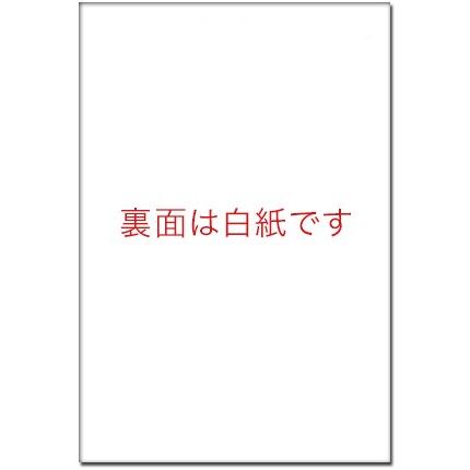 写真入り 結婚 内祝い メッセージカード １０枚  裏面 無地　WUS-07　内祝 お返し｜hagaki｜02