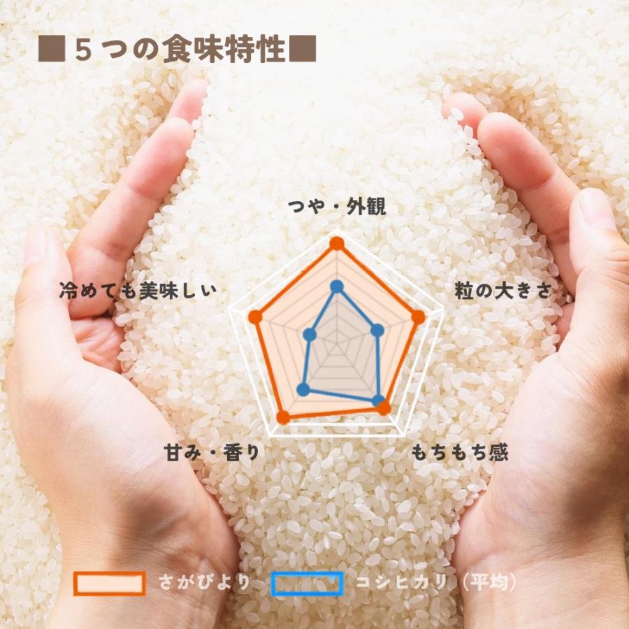 さがびより 米 5kg 送料無料 白米 16年連続特A 精米したて発送 佐賀県