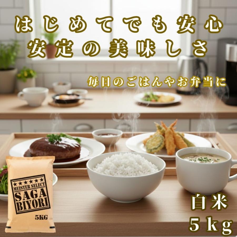 特Ａさがびより 5kg×2袋 佐賀県産 さがびより 米 5kg 送料無料 白米 16年連続特A 精米したて発送 佐賀県