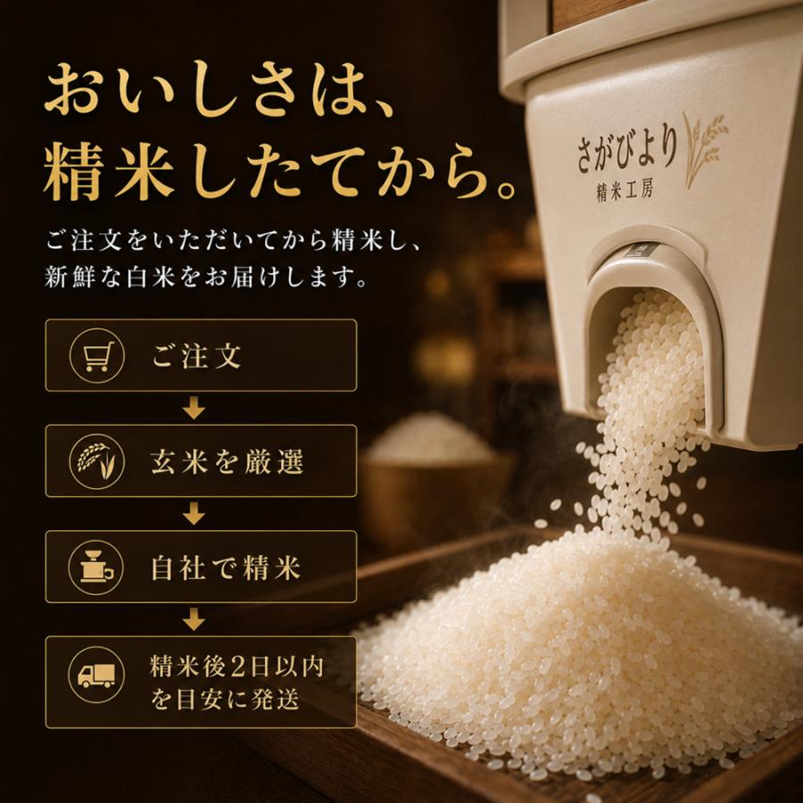 さがびより 米 5kg 白米 佐賀県産 令和7年産 16年連続特A評価 送料無料