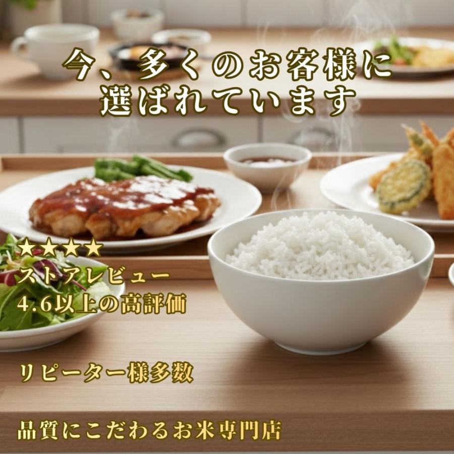さがびより 米 5kg 送料無料 白米 16年連続特A 精米したて発送 佐賀県
