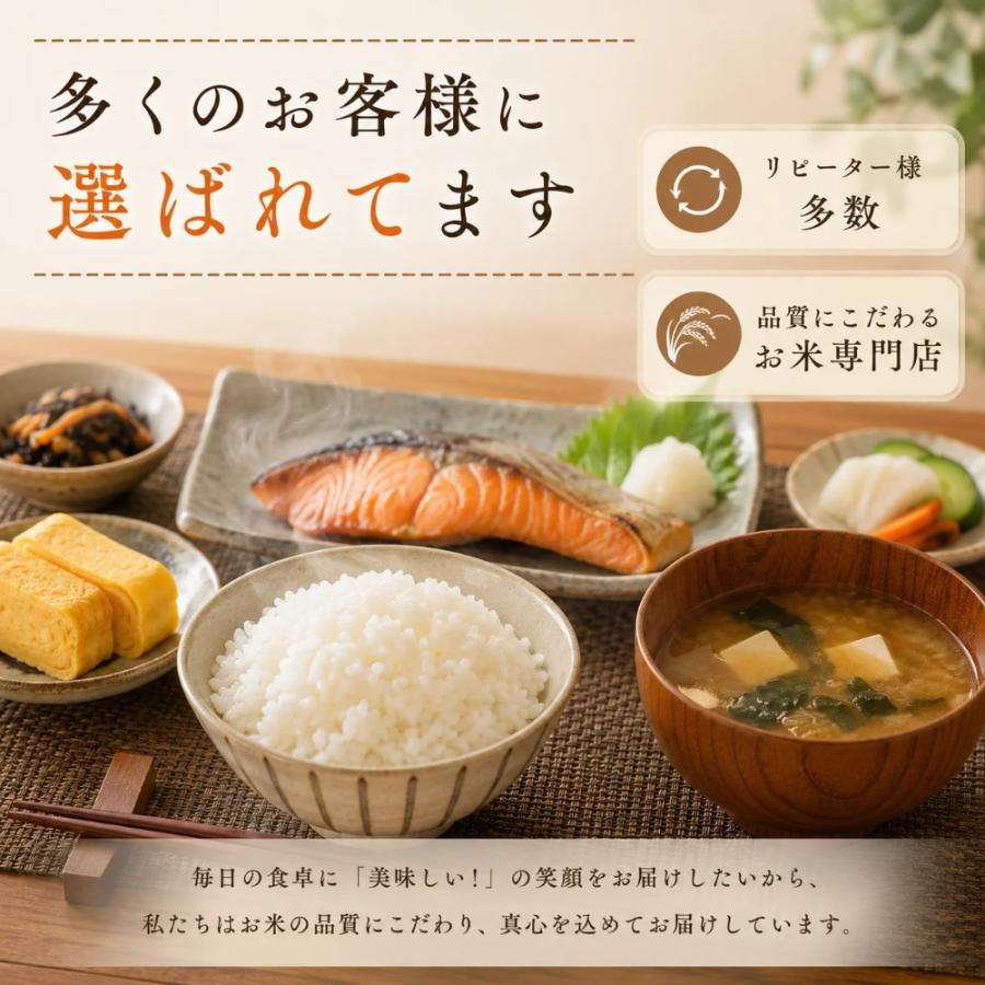 さがびより 米 5kg 送料無料 白米 16年連続特A 精米したて発送 佐賀県