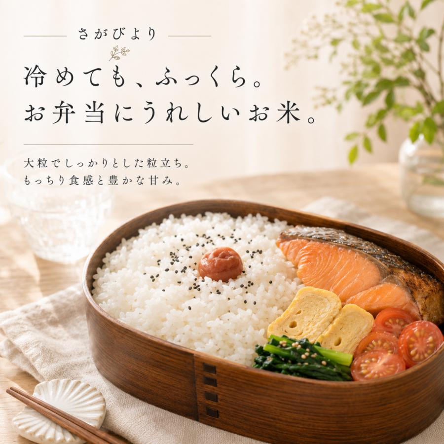 さがびより 白米 2種 10kg (さがびより 夢しずく) 各5kg 食べ比べ 佐賀