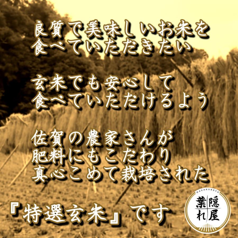令和6年産【特選玄米】さがびより5kg 玄米 特A 産地直送 五つ 令和6年産【特選玄米】さがびより5kg 玄米 特A 産地直送 五つ