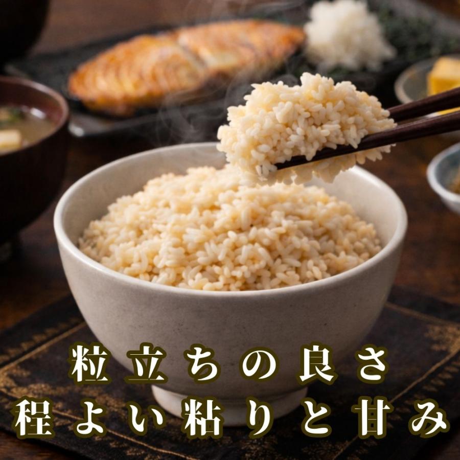 さがびより 特選 玄米 5kg 佐賀県産 令和7年産 特A評価 : 米匠-葉隠れ
