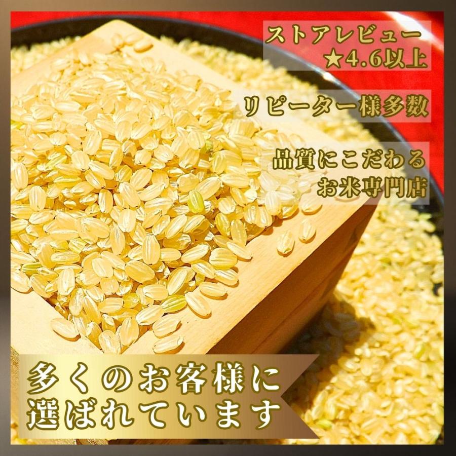 さがびより 特選 玄米 5kg 佐賀県産 令和7年産 : 佐賀の米匠-葉隠れ屋