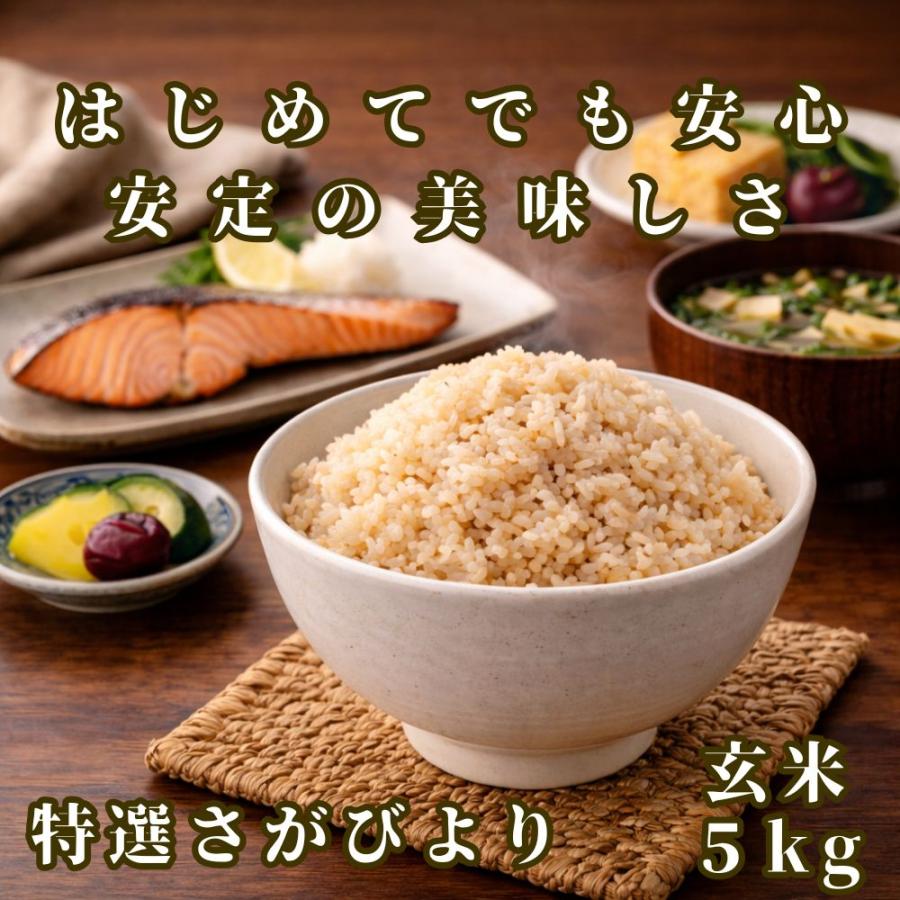 さがびより 特選 玄米 5kg 佐賀県産 令和7年産 特A評価 : 佐賀の米匠
