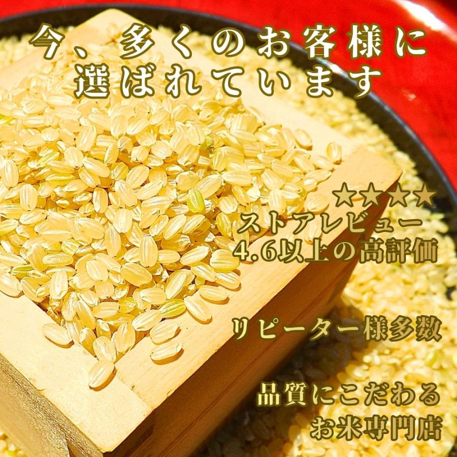 ⑫令和7年産さがびより白米・玄米 さがびより セール 特選 玄米 10kg (5kg×2袋) 佐賀県産 令和7年産 特A