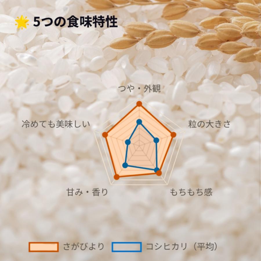 ⑩令和7年産さがびより玄米・白米 さがびより GW セール 米 10kg 白米 5kg×2袋 佐賀県産 令和7年産 10