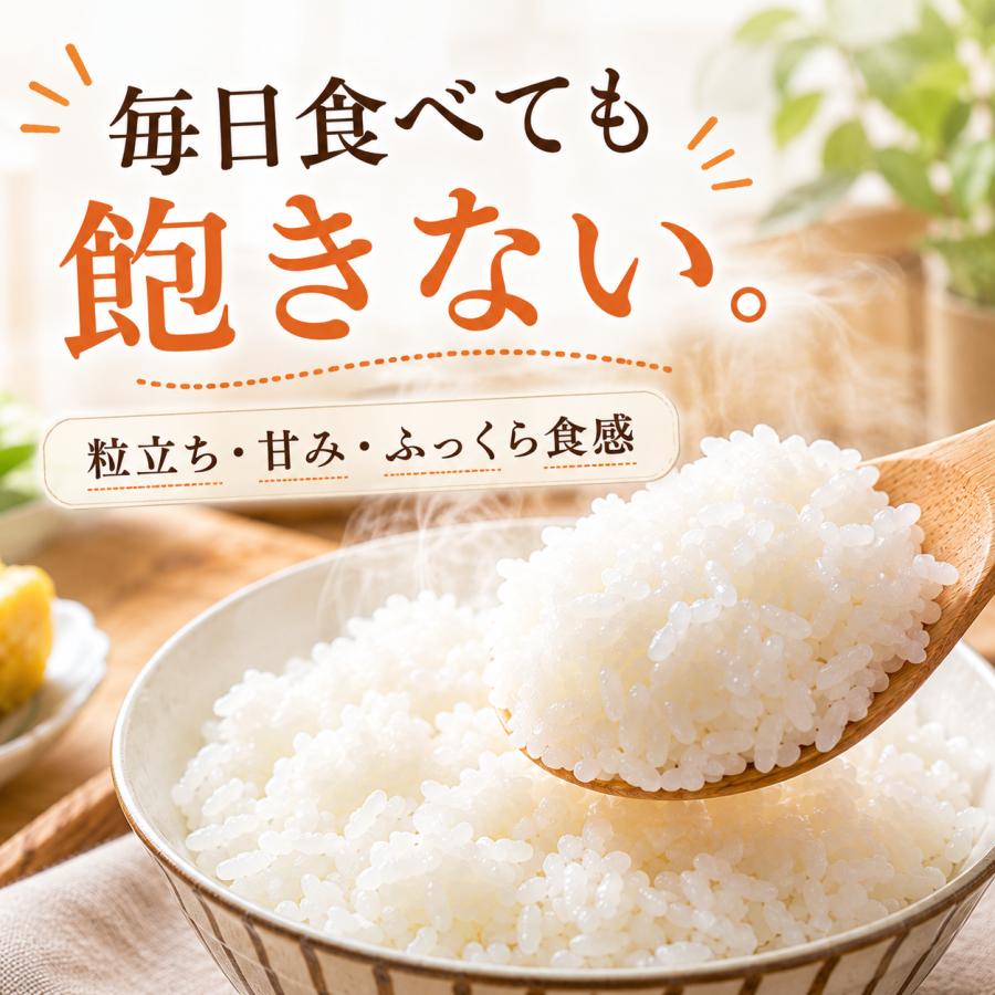 さがびより 米 10kg 白米 5kg×2袋 佐賀県産 令和7年産 10キロ 送料無料