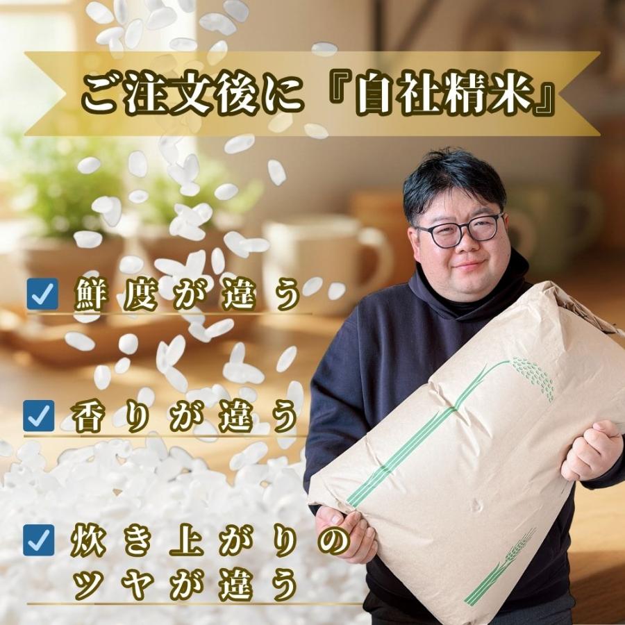 さがびより セール 米 10kg 白米 5kg×2袋 佐賀県産 令和7年産 10キロ