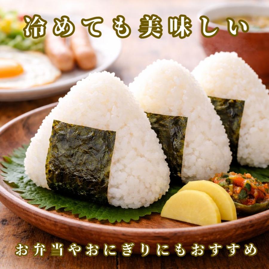 みさり様　10㎏　4月発送 宮城県産 ささにしき （新米ではありません） アークスオンライン
