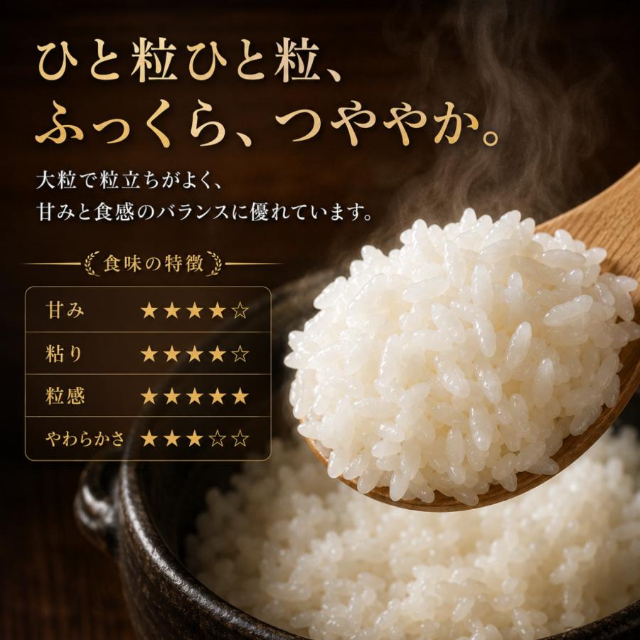 さがびより 米 10kg 白米 5kg×2袋 佐賀県産 令和7年産 16年連続特A評価