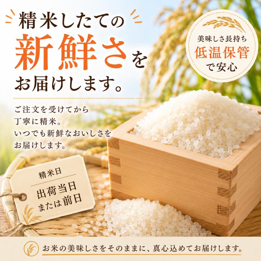 さがびより 米 10kg 白米 5kg×2袋 (日曜クーポンあり) 佐賀県産 令和7