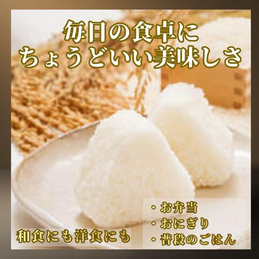 さがびより 10kg (5kg×2袋) 白米 佐賀県産 令和7年産 : 佐賀の米匠