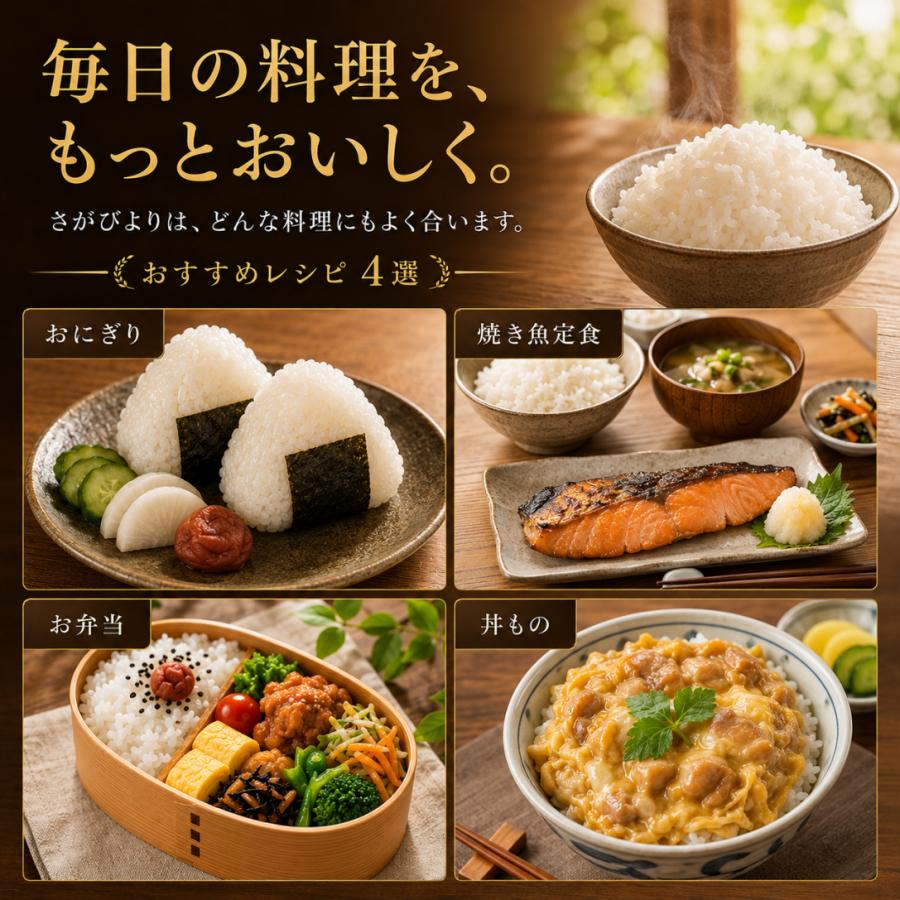 さがびより 米 10kg 白米 5kg×2袋 佐賀県産 令和7年産 16年連続特A評価