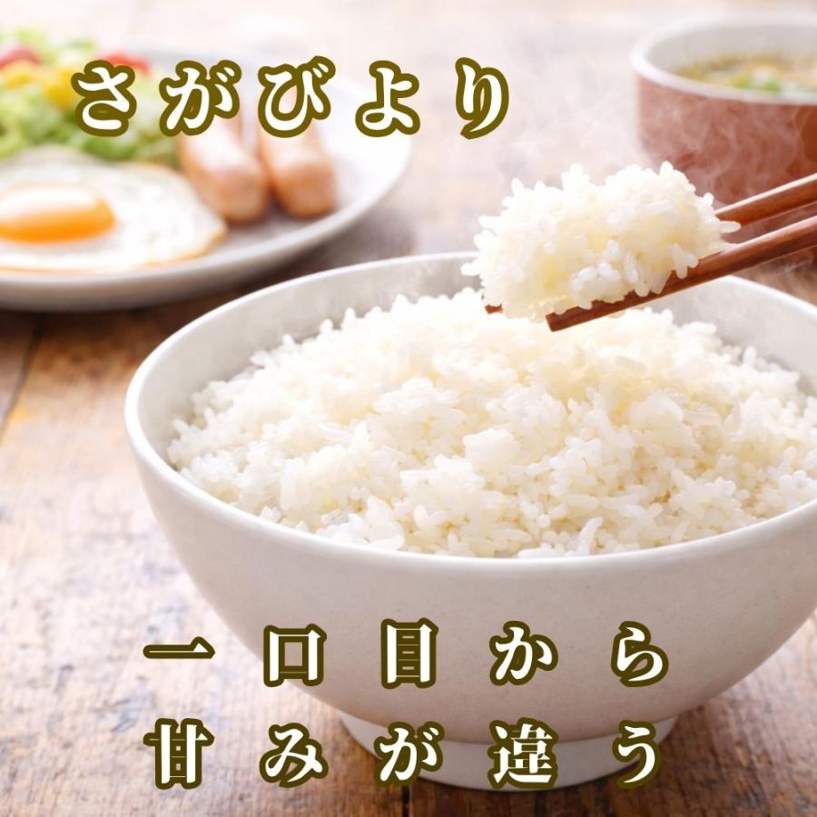 送料込み 精米済み 白米 20kg 6年度産 佐賀県産米 さがびより GW セール 米 10kg 白米 5kg×2袋 佐賀県産 令和7年産 10
