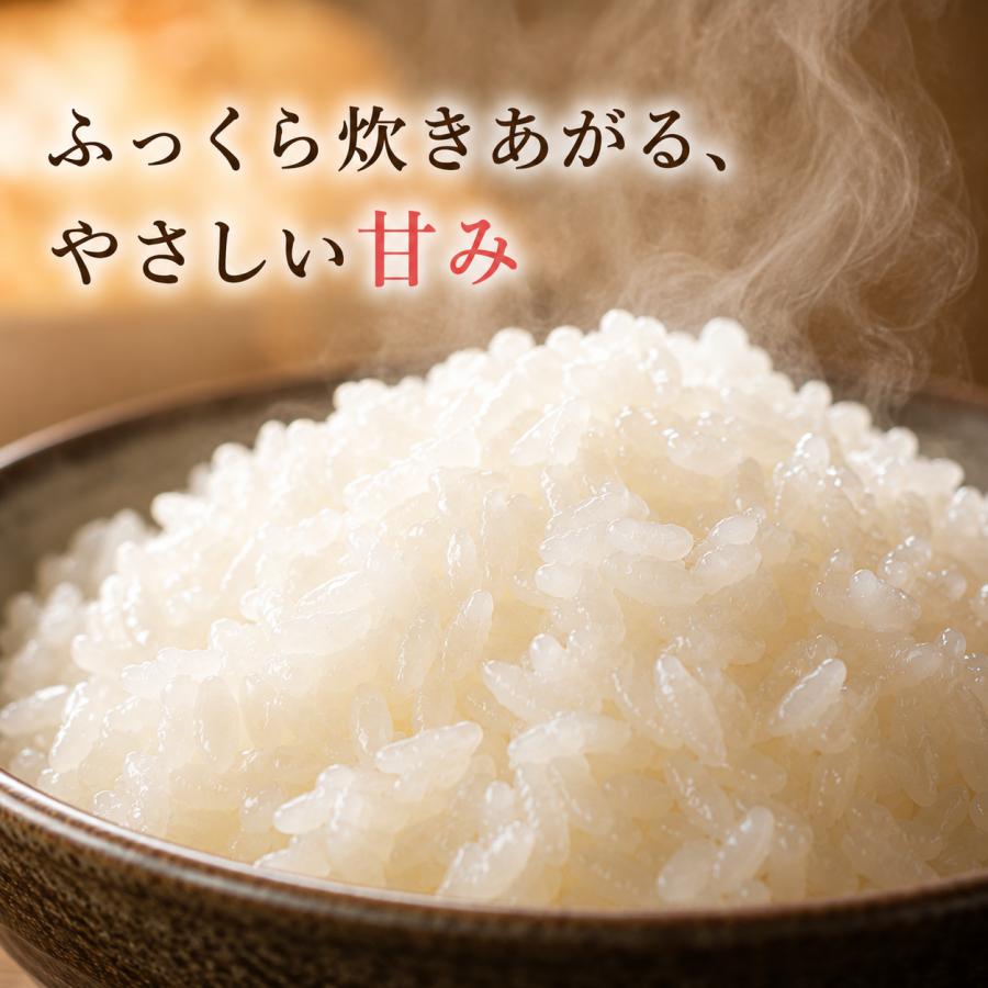 夢しずく 米 10kg 白米 5kg×2袋 (日曜クーポンあり) 佐賀県産 令和7