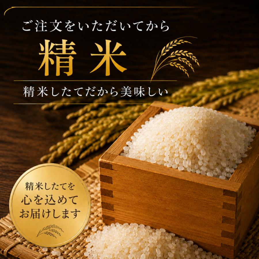 夢しずく 米 10kg 白米 5kg×2袋 佐賀県産 令和7年産 特A評価 送料無料