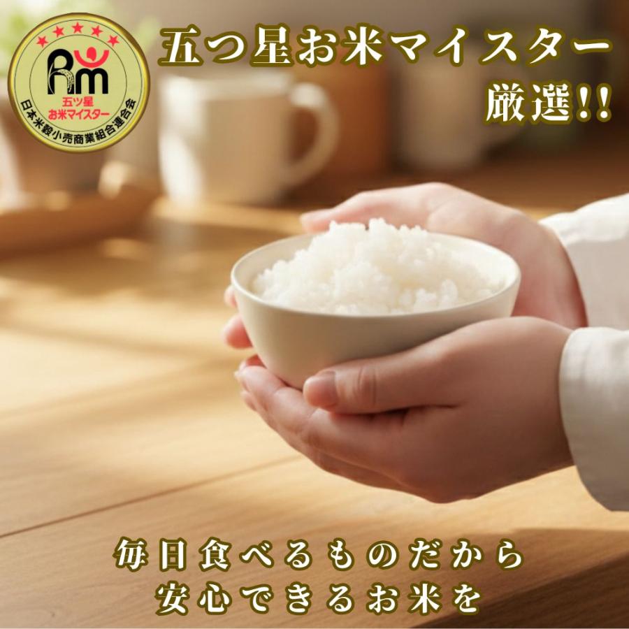 夢しずく セール 米 10kg 白米 5kg×2袋 佐賀県産 令和7年産 特A評価