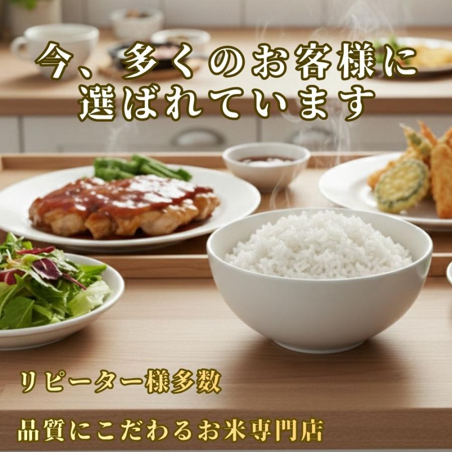 夢しずく セール 米 10kg 白米 5kg×2袋 佐賀県産 令和7年産 特A評価