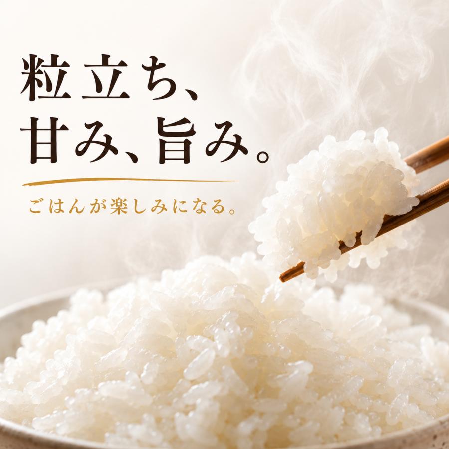 さがびより 無洗米 【真空パック】 2kg×2袋 令和7年産 佐賀県産 特A