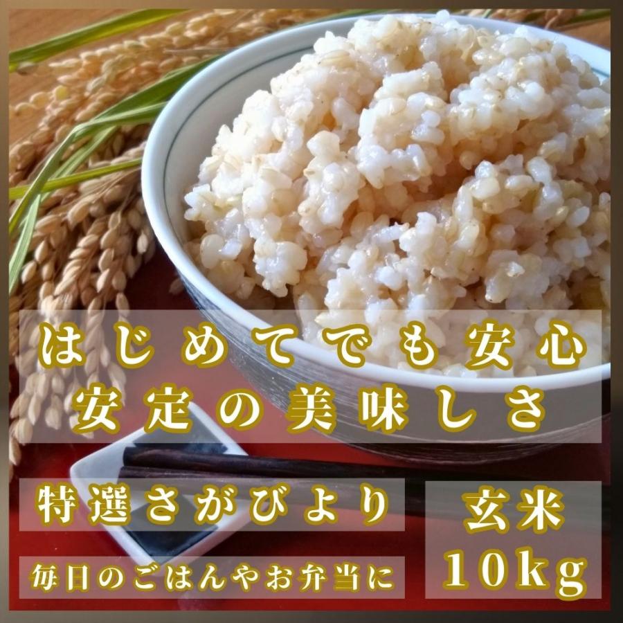 さがびより 特選 玄米 10kg (5kg×2袋) 佐賀県産 令和7年産 : 佐賀の米