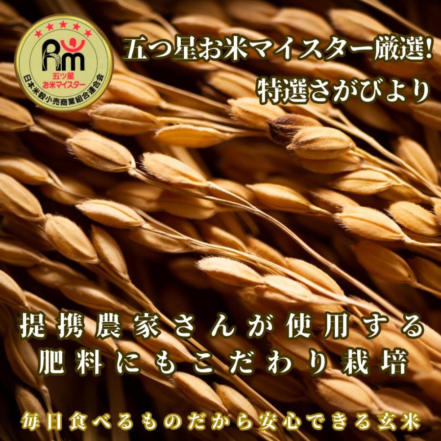 【配達OK】令和7年産 さがびより 玄米15キロ 令和7年産】佐賀県産さがびより｜【栗林米穀】九州の佐賀県産のお米を