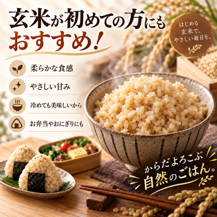 【数量限定】令和7年 佐賀産 夢しずく 玄米 10キロ 夢しずく 新米 特選玄米 10kg 5kg×2袋 佐賀県産 令和8年産 五つ星マイ