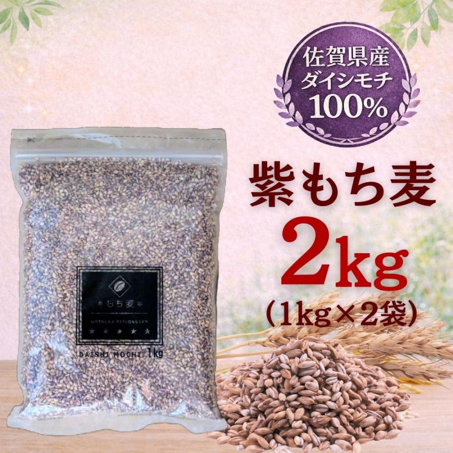 もち麦 雑穀 ダイシモチ 2kg 佐賀県産【送料無料】国産 雑穀米 (1kg×2