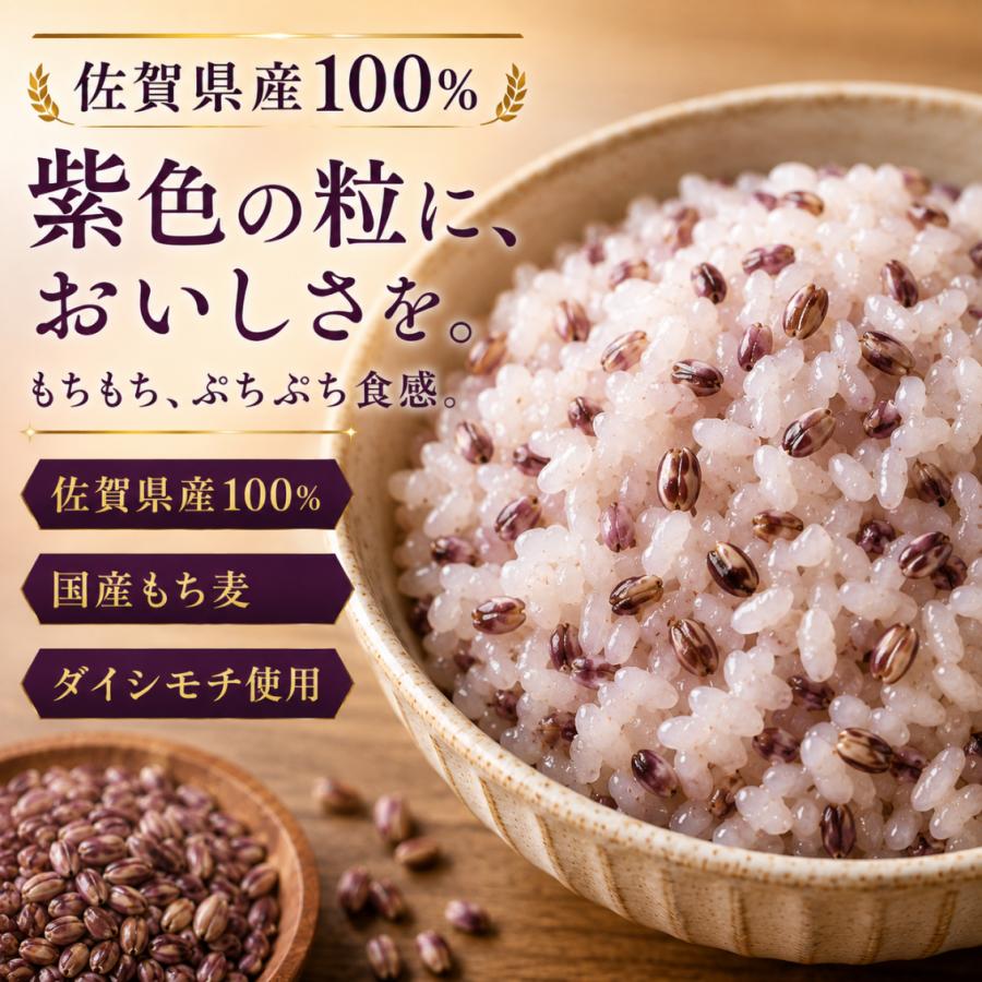 もち麦 ダイシモチ 2kg 佐賀県産 国産 雑穀 紫もち麦 1kg×2袋 食物繊維
