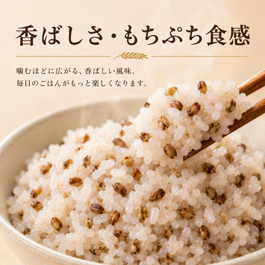 紫もち麦 2kg 国産100% ダイシモチ 雑穀 1kg×2袋 ジップ付き 佐賀県産