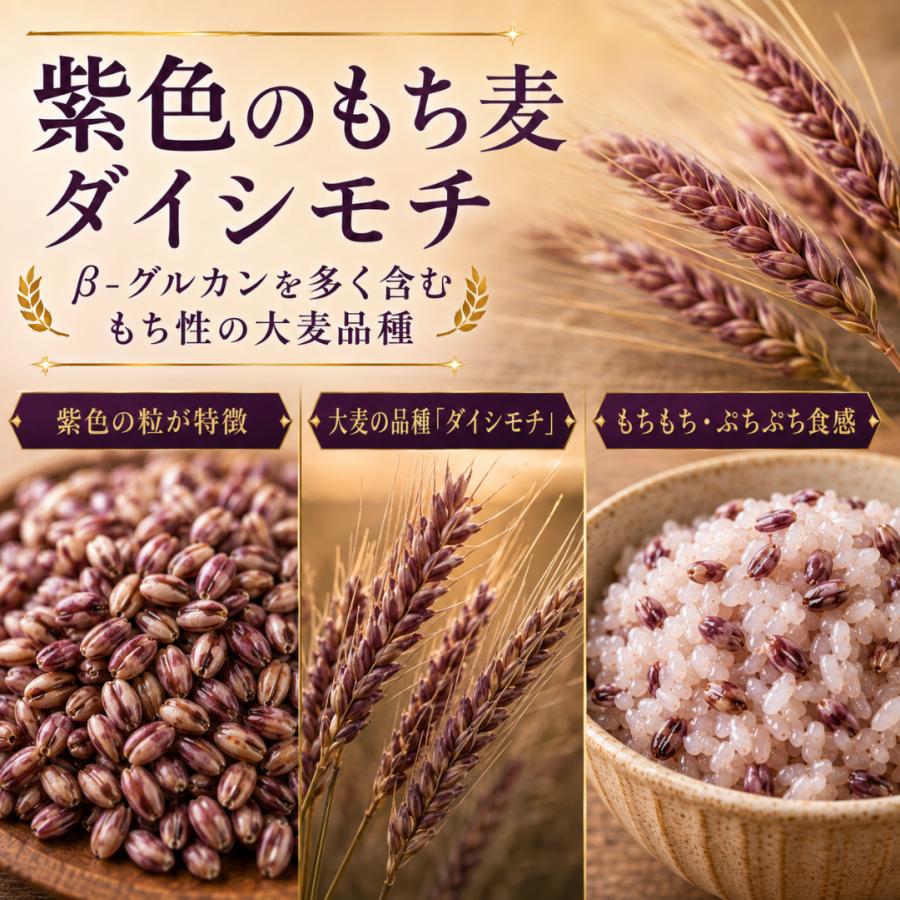 もち麦 ダイシモチ 2kg 佐賀県産 国産 雑穀 紫もち麦 1kg×2袋 食物繊維