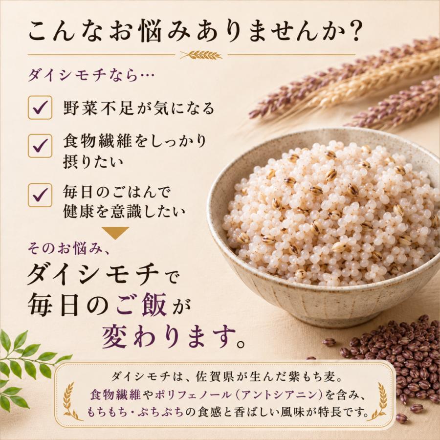 紫もち麦 2kg 国産100% ダイシモチ 雑穀 1kg×2袋 ジップ付き 佐賀県産