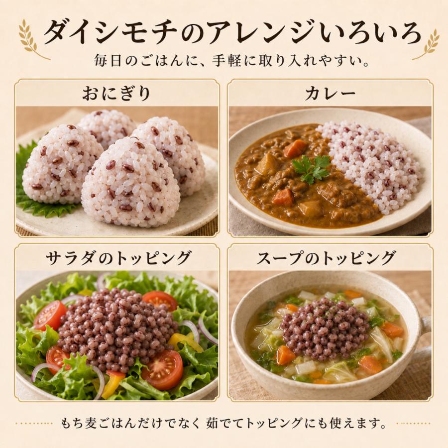 紫もち麦 2kg ダイシモチ 国産 100% 雑穀米 1kg×2袋 ジップ付き 佐賀県
