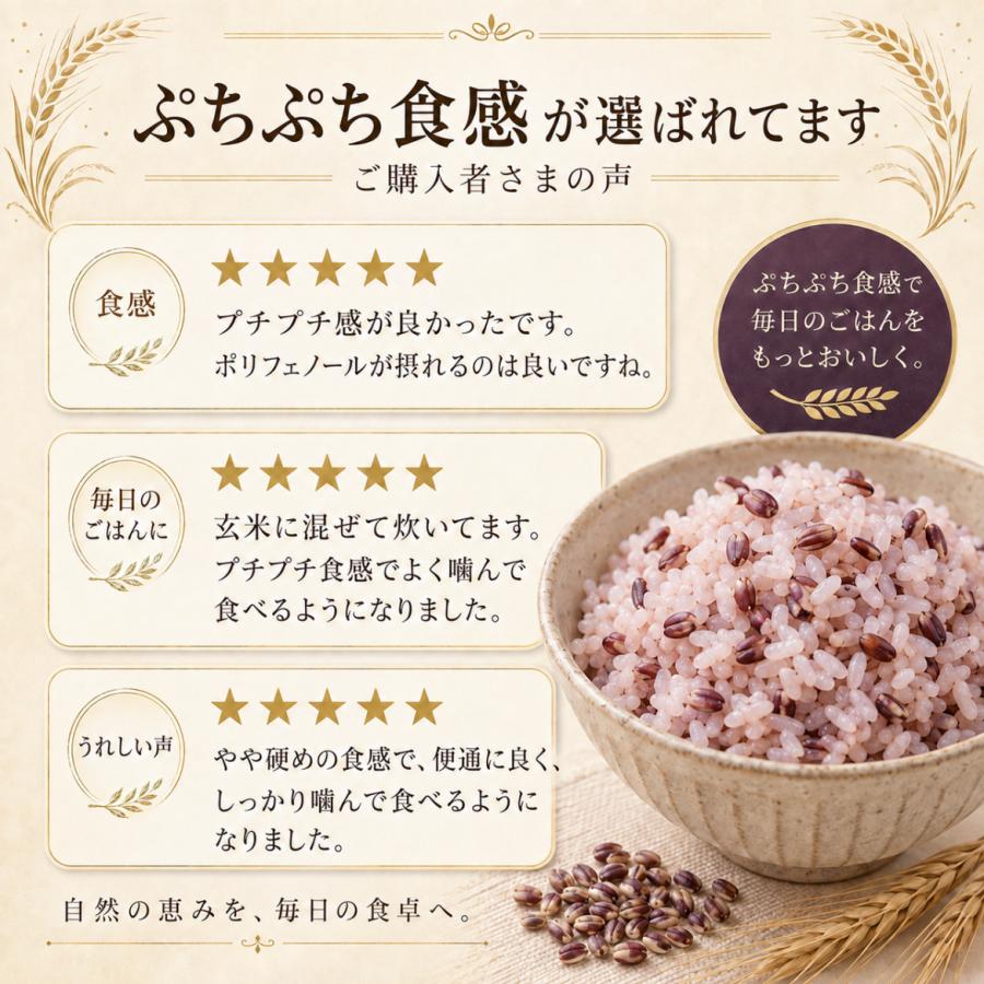 紫もち麦 2kg 国産100% ダイシモチ 雑穀 1kg×2袋 ジップ付き 佐賀県産